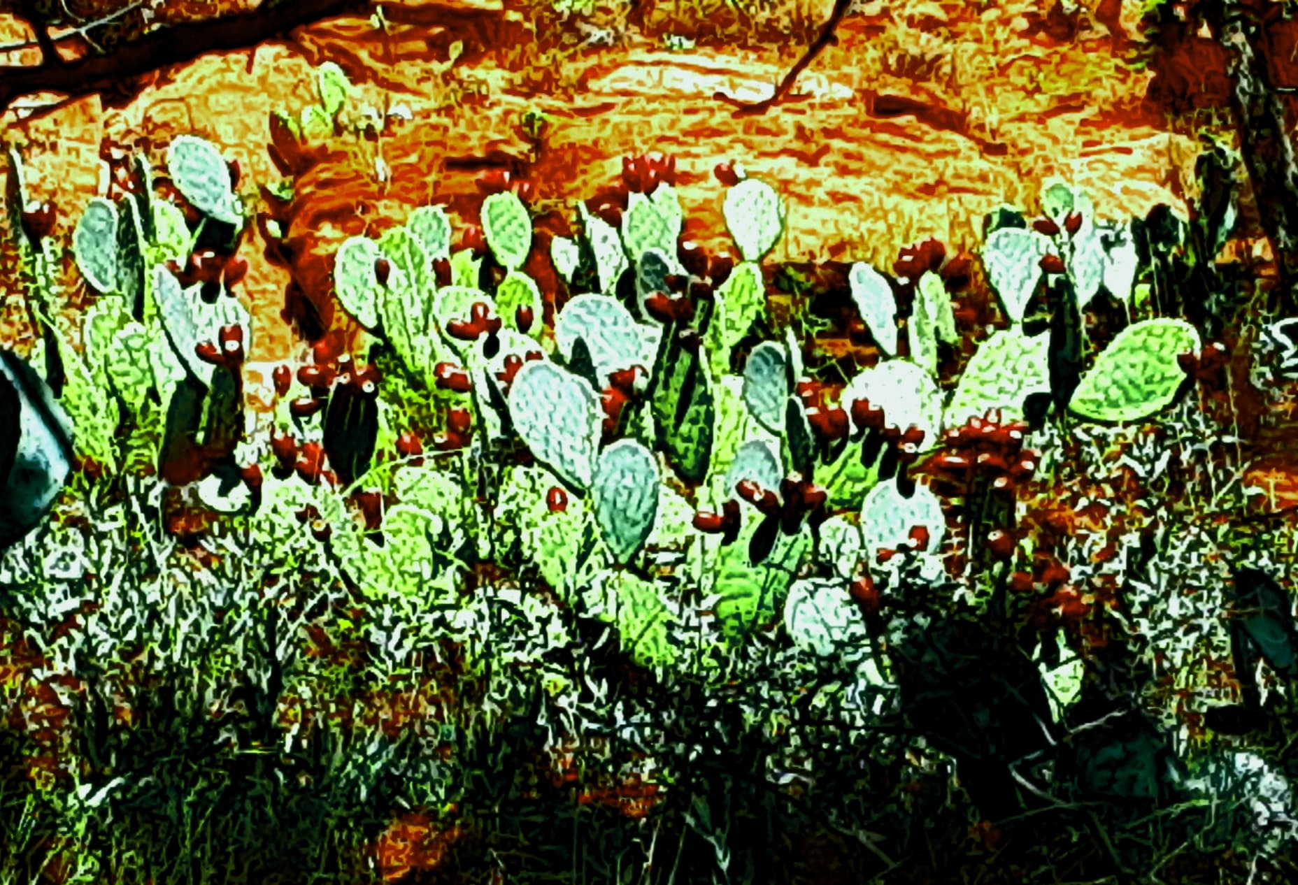Cozy Cactus Chocolates slide 5