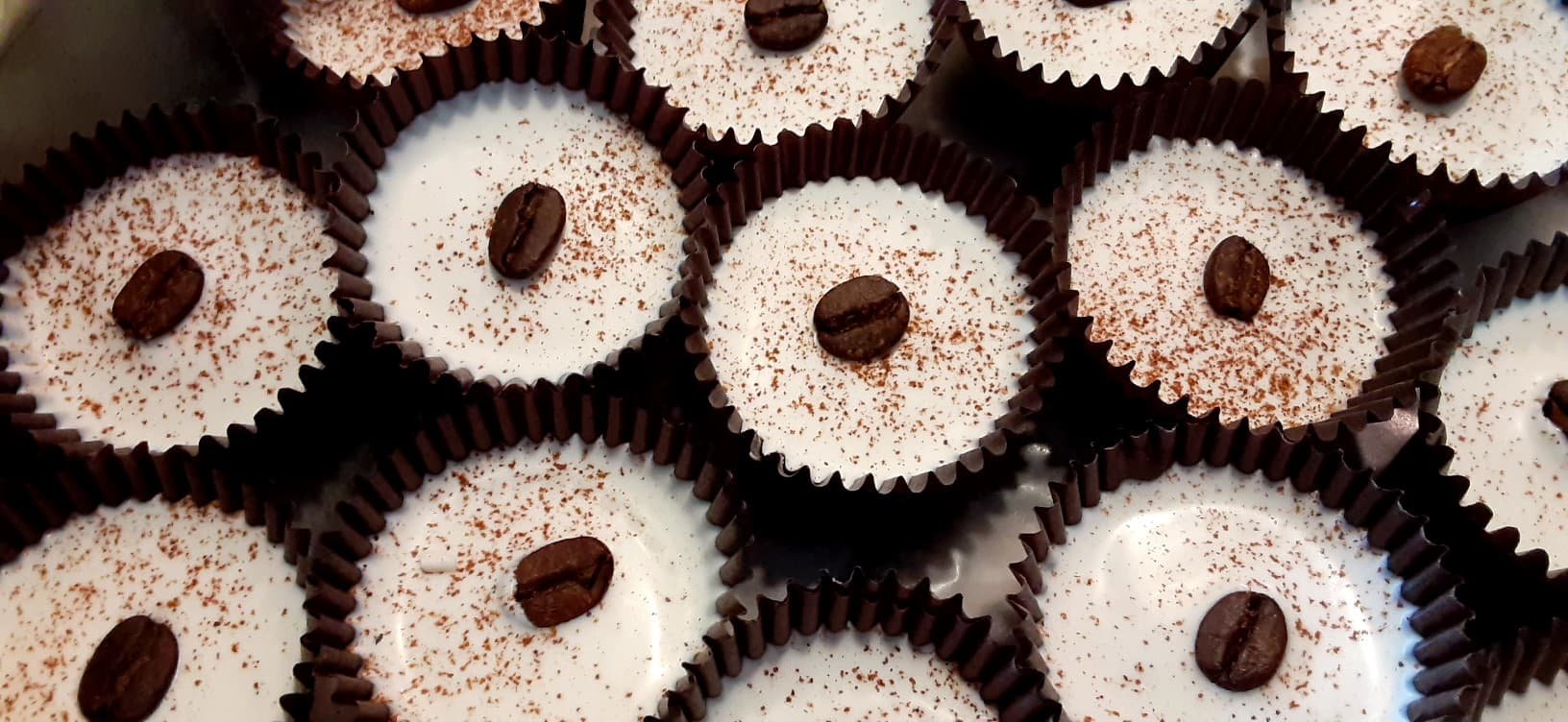 Cozy Cactus Chocolates